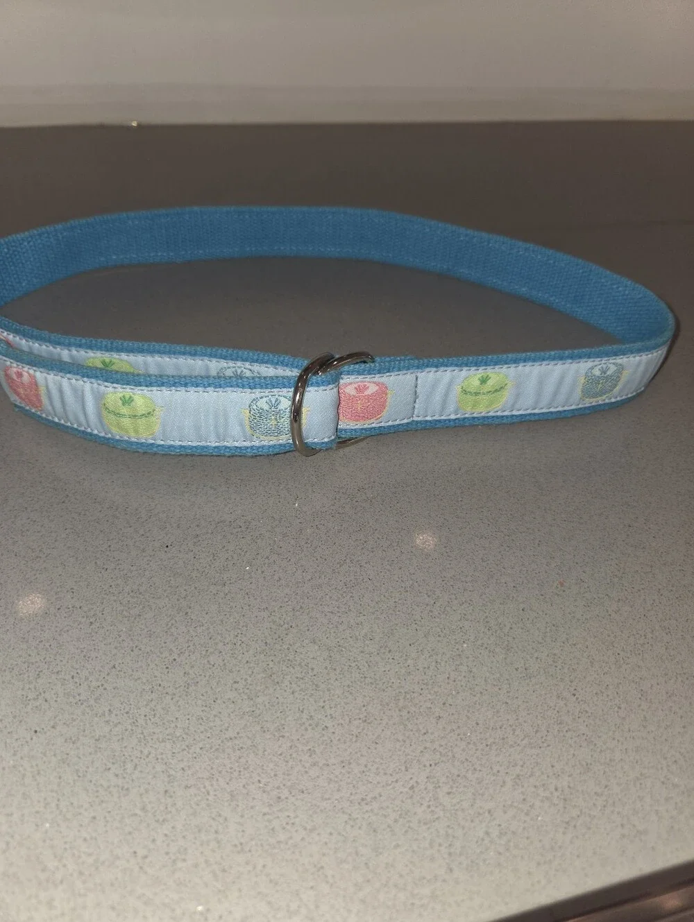 Nantucket Purses Blue Ribbon Adjustable Belt